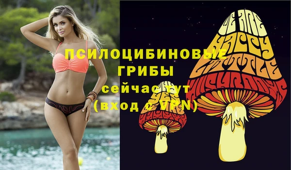 марки lsd Абаза