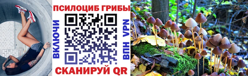 Галлюциногенные грибы прущие грибы  ссылка на мегу ONION  Лысково 